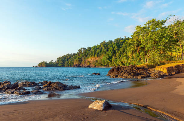 пляж тропических лесов, корковадо, коста-рика - costa rican sunset стоковые фото и изображения