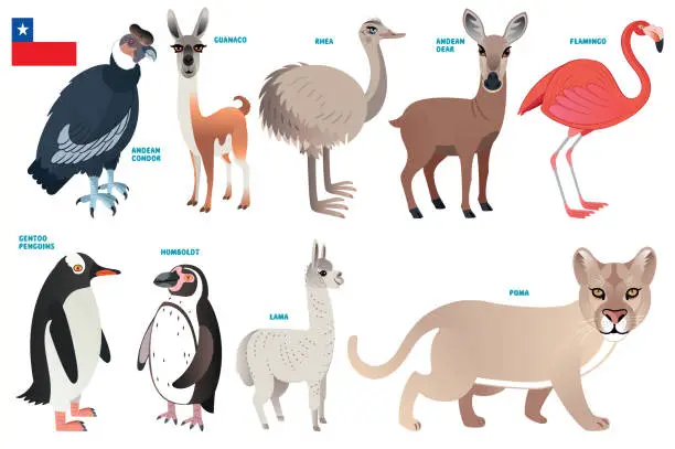 Vector illustration of Chile Animals