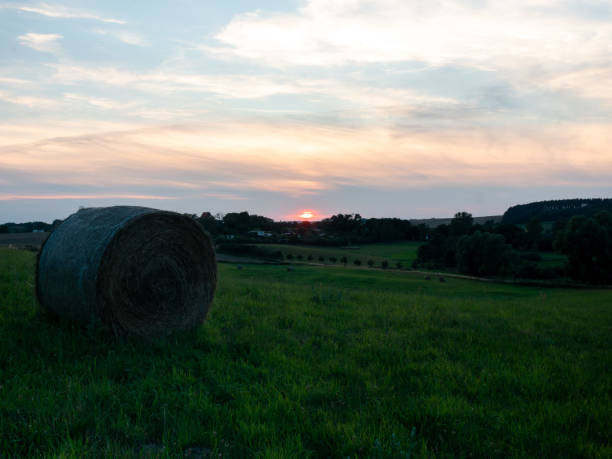 istock Sunset in a Rural Landscape with Hay Bales 1315213160