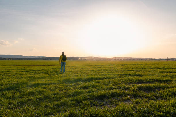 istock Young caucasian man in yellow jacket with backpack standing on meadow, field at sunset in czech spring landscape 1315218227