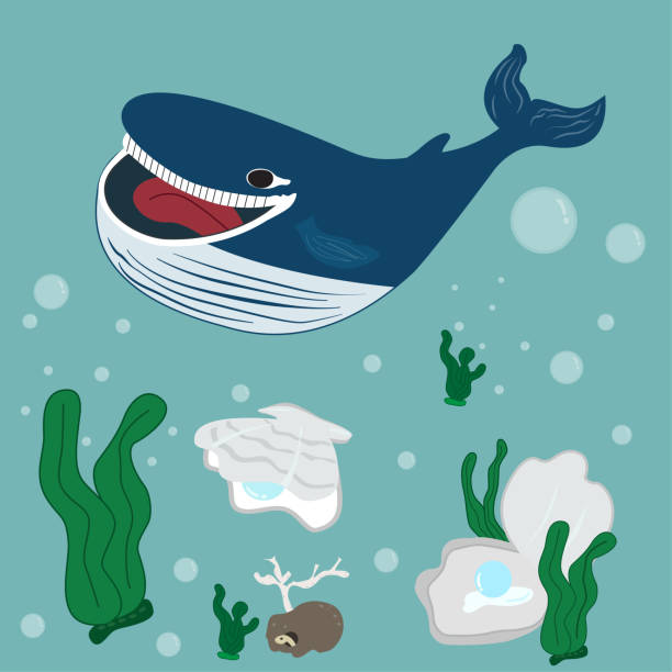 ilustraciones, imágenes clip art, dibujos animados e iconos de stock de ballena sonriendo en el mar bajo la perla dibujos animados lindo. linda ballena oceánica feliz.algas y burbujas de aire.vector,ilustración. - vector love jewelry pearl