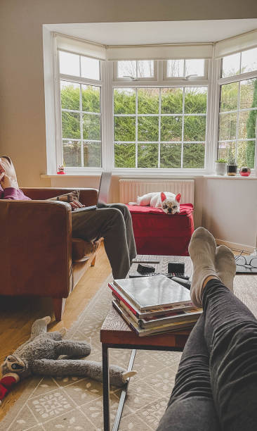 istock Daily life with a dog 1315221702