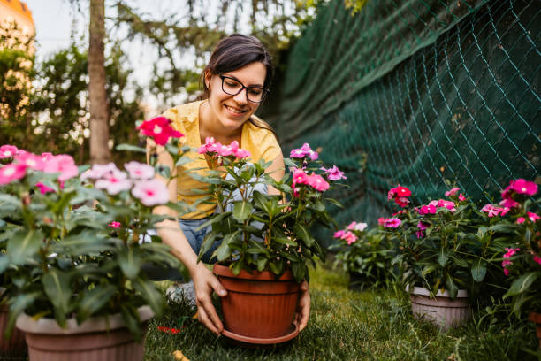 istock Woman nurture her garden 1315223493