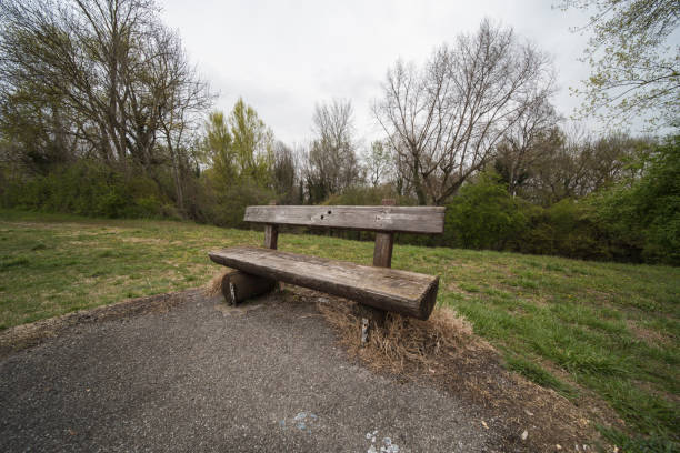 wooden bench in beautiful nature