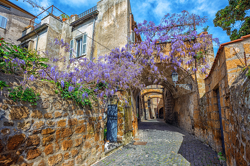 Typical mediterranean street in historical Old town of Orvieto, Umbria, Italy, decorated with blooming wisteria flowers