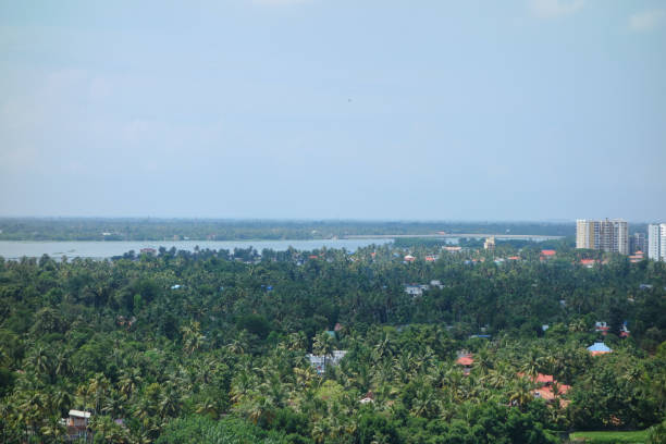 istock Aerial view of Kochi 1315229027
