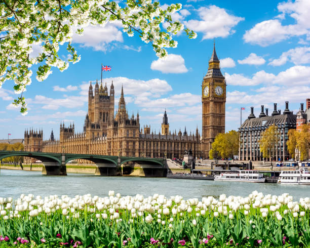 башня биг-бен и здание парламента весной, лондон, великобритания - london england uk travel big ben стоковые фото и изображения