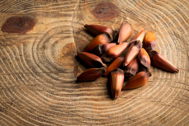 istock Healthy Eating. 1315231560