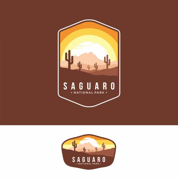 ilustrações de stock, clip art, desenhos animados e ícones de illustration of saguaro national park emblem icon patch on dark background - cactus hedgehog cactus flower desert
