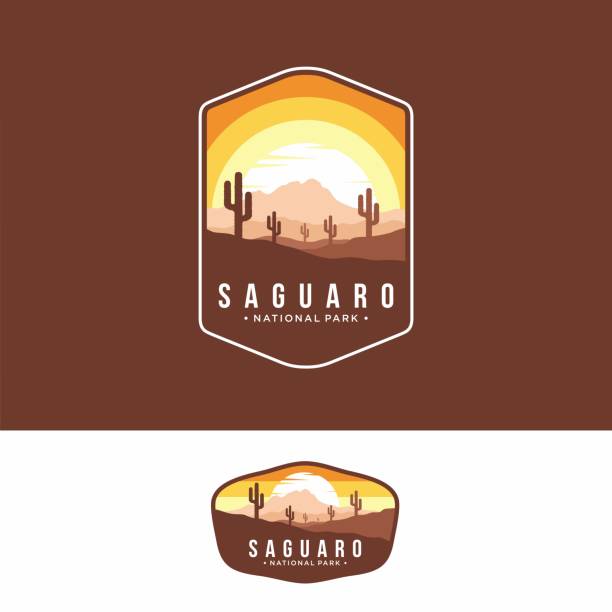 karanlık arka plan üzerinde saguaro milli park amblem simgesi yama illüstrasyon - saguaro kaktüsü stock illustrations