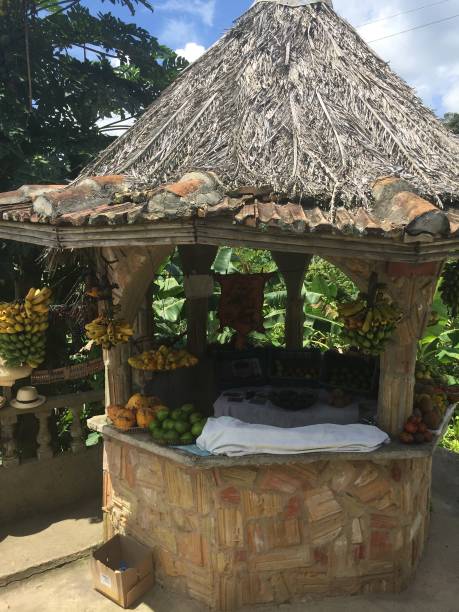 istock Cuba - Guanayara natural park - kiosk 1315234070