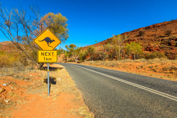 istock Kangaroo sign in Red Centre Australia 1315237681