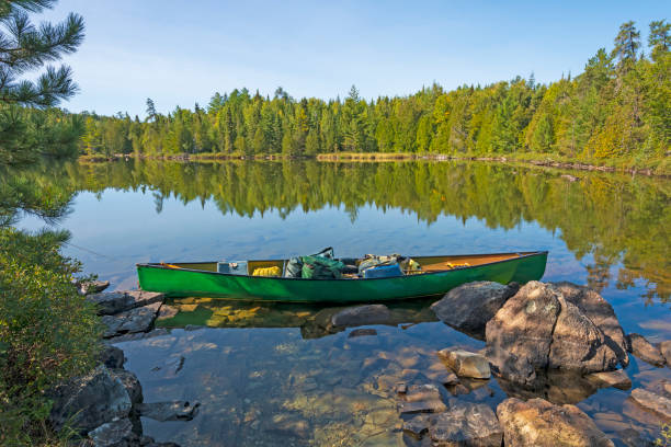 istock Ready to Explore on a Sunny Day in the North Woods 1315238526