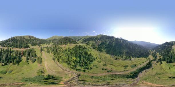 istock 360 VR mountain range and evergreen trees, national park 1315238814