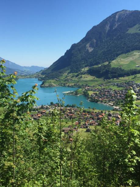 istock Switzerland - lungern - obwald township 1315240506