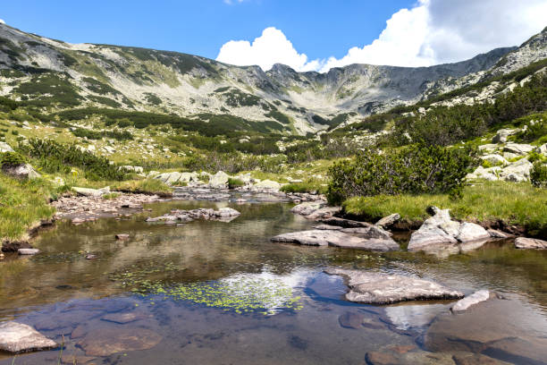 istock Landscape with Banderitsa River, Pirin Mountain, Bulgaria 1315241254