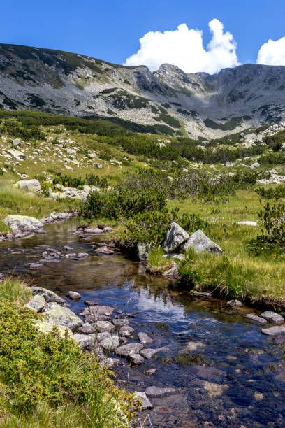 istock Landscape with Banderitsa River, Pirin Mountain, Bulgaria 1315241296
