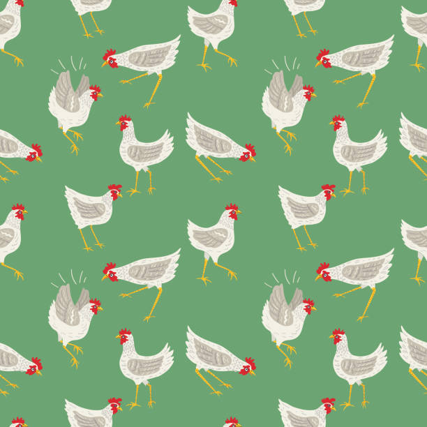 Chicken Vector Pattern 79,900+ Chicken Pattern Stock Photos, Pictures & Royalty-Free Images ...