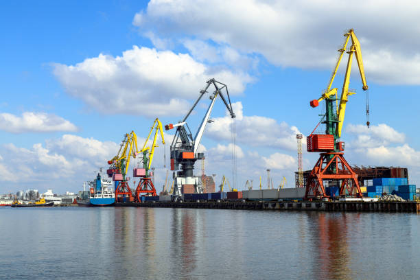 istock Large cranes on the dock. Kaliningrad 1315241383