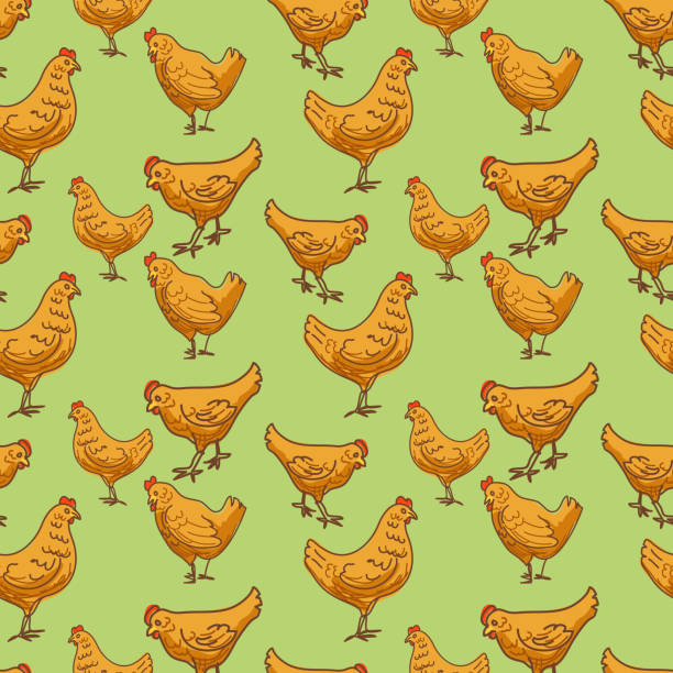 Chicken Photo Background Simpler 17,900+ Animated Chicken Backgrounds Stock Illustrations, Royalty-Free ...