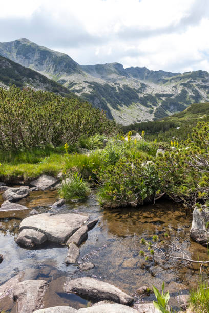 istock Landscape with Banderitsa River, Pirin Mountain, Bulgaria 1315241615