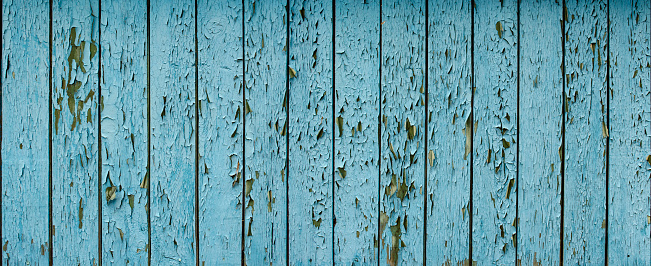 Blue flaky paint on an old weathered wooden fence. Vintage wood background wall. Peeling paint flakes. Old weathered wooden plank painted in blue color. Texture of old wooden boards with peeling paint.