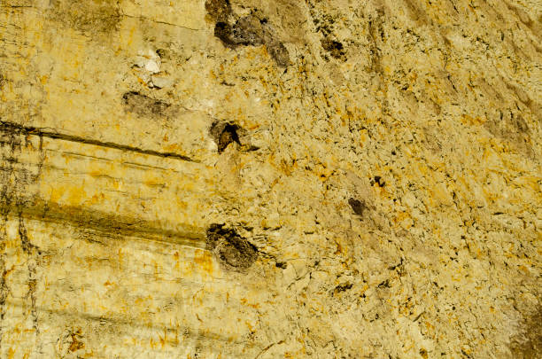istock Natural background - vertical wall of clay with copy space for add text 1315243714