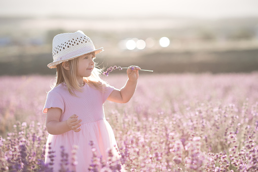 Pretty baby girl 1-2 year old smelling lavender flower standing in field outdoors over nature background. Childhood. Summer time. Looking away.