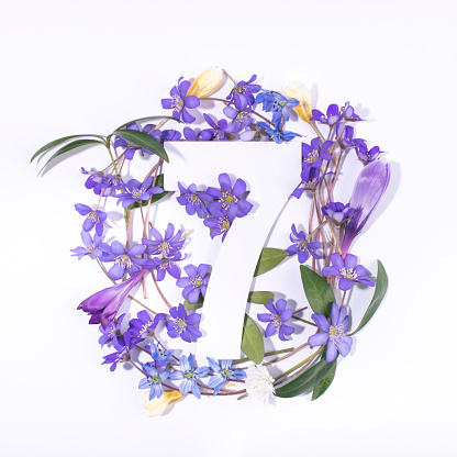 Layout with spring flowers and number seven. Anniversary concept. Flat lay. Top view.