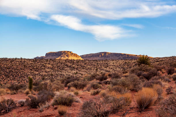 istock Just Another Desert Photo 1315251475