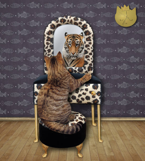 istock Cat beige sees tiger in mirror 1315252490