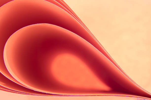 istock Abstract red colored background with curved lines and shapes 1315253149