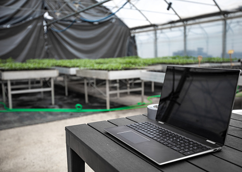 Laptop on a Table in Greenhouse.