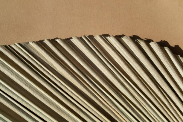 istock Dry Palm leaf macro texture on brown background detail closeup with copy space. Natural boho interior decor 1315254840