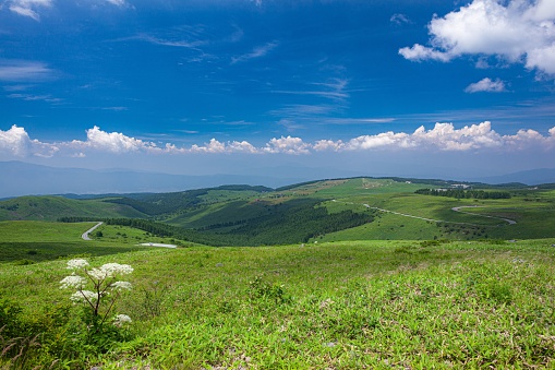 Green meadows, fields, spring forests and Russian tanks.