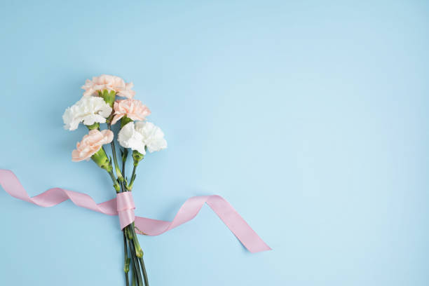 Bouquet of pink carnation flowers over blue background. Saint valentine, mothers day idea Bouquet of pink carnation flowers over blue background. Saint valentine, mothers day, birthday gift concept. Flat lay, top view, copy space carnation flower photos stock pictures, royalty-free photos & images