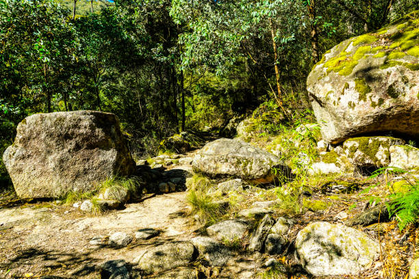 istock Porepunkah, Victoria, Australia 1315259504