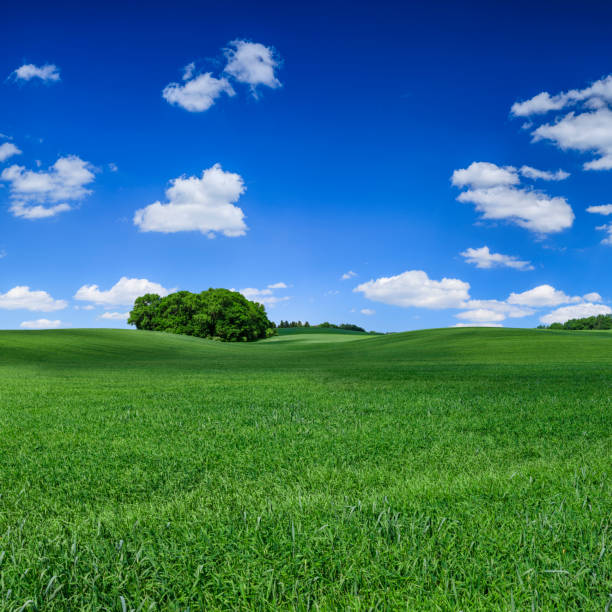 Square spring landscape - green fields, sky with clouds - 104 MPix XXXXL size This panoramic landscape is an very high resolution multi-frame composite and is suitable for large scale printing.