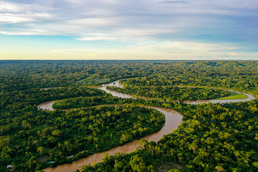 Vista aérea sobre un bosque tropical con un río serpenteando a través del dosel y un cielo nublado con espacio para el espacio de copia photo