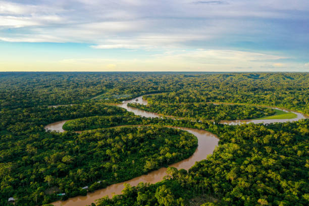 vista aérea sobre un bosque tropical con un río serpenteando a través del dosel y un cielo nublado con espacio para el espacio de copia - ecuador fotografías e imágenes de stock