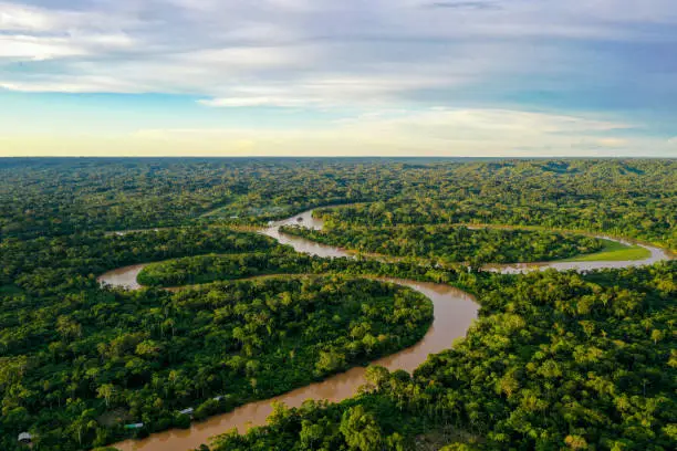 Aerial view over a tropical forest with a river in the amazon rainforest