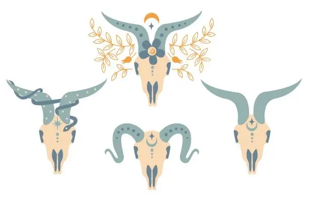 Vector illustration of Set of Magic vintage ram skull with flower, branch of leaves, moon, star, snake isolated on white.