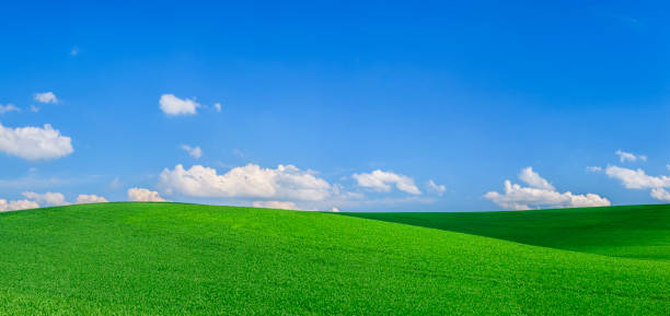 istock Panoramic spring landscape XXXXL 64 MPix - green field, blue sky 1315262368