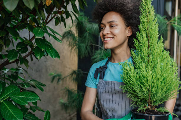 istock Gardening at home in springtime 1315263247
