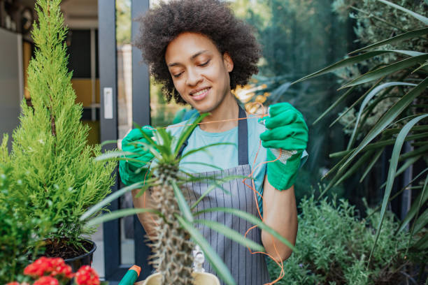 istock Enjoyment and gardening on the balcony 1315263273