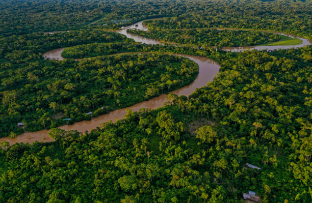 vista aérea sobre un bosque tropical con un río serpenteando a través del dosel de la selva tropical y casas de indígenas de la amazonía visibles a lo largo del río - amazonía del perú fotografías e imágenes de stock