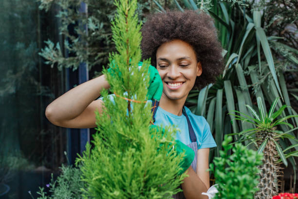 istock Gardening at home in springtime 1315263511
