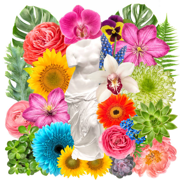 istock Venus flowers creative collage. Beauty spring summer concept 1315263640