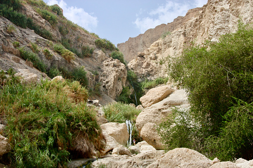 High angle landscape photo of the beautiful oasis and a small waterfall in the Ein Gedi Nature Reserve near the Dead Sea in the Judean Desert