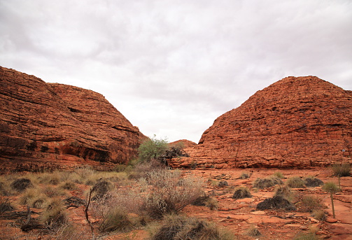 Landscape of kings canyon in outback, red centre of Australia